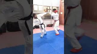 Shotokan Karate Training