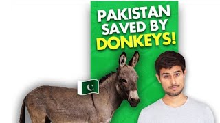 Why Pakistan Sells Donkeys To China | Must Watch The Video | Amazing Fact