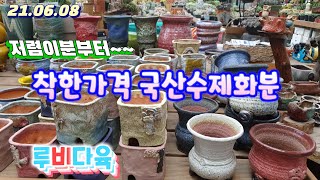 21.06.08/루비다육화분/ 고급지고 넘이쁜화분 가격최저/저렴이분.예운분.토어분.앤분.도앤도/택배가능010 5895 1110(Korean succulent pot's)