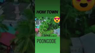 Poongod town(vandoor)