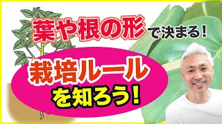 葉や根の形で決まる栽培ルールを知っておこう！