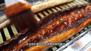 Chinese Cantonese Gourmet Grilled Eel广东美食炭烤鳗鱼