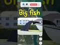 i found big fish 🐟 in the world on Google map and google earth #earth #map #googleearth #viral