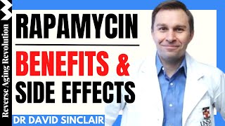 Rapamycin | Dr David Sinclair Interview Clips