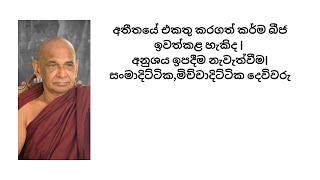 අතීතයේ එකතු කරගත් කර්ම බීජ ඉවත්කළ හැකිද | අනුශය ඉපදීම නැවැත්වීම| සංමාදිට්ටික,මිච්චාදිට්ටික දෙවිවරු