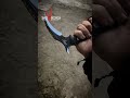 Rooster 2.0, new kerambit from SHADE INDONESIA #kerambit #karambit #subscribe #short