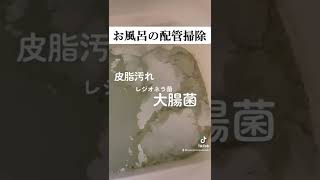 【お風呂好き要注意】絶対やってはいけない汚れが大繁殖する使い方