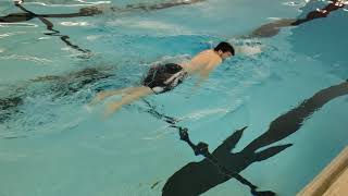 Lamar Aquatics Level 2 Front Crawl
