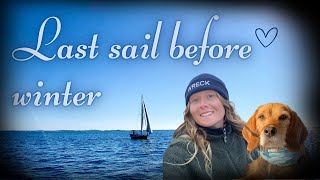 Final Sail of the Season | Solo Sailing with My Dog in Stockholm Archipelago