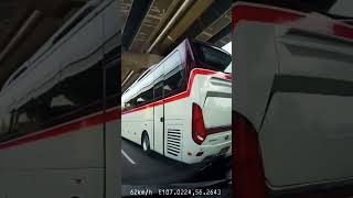 Armada PO Primajasa #bus #bussid #bismania #bis #shorts #short #fyp #shortsvideo #shortvideo