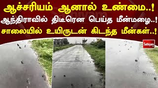 ஆச்சரியம் ஆனால் உண்மை! ஆந்திராவில் திடீரென பெய்த மீன்மழை! சாலையில் உயிருடன் கிடந்த மீன்கள்!