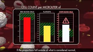 Flow Cytometry Virtual Lab
