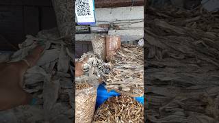 🦞Dry Fish Market Shivajinagar | 🦞Wholesale Dry Fish | 🦞Protein Rich Food | 🦞Shivajinagar Market🦞