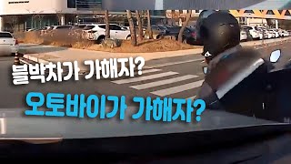 3865회. (투표) 블박차가 우측 깜빡이 켠 것을 전제로 누가 가해차량일까요?