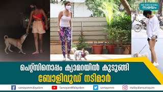 പെറ്റ്സിനൊപ്പം ക്യാമറയില്‍ കുടുങ്ങി ബോളിവുഡ് നടിമാര്‍