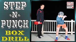 How To Step and Punch Using A Box Drill