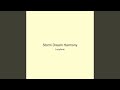 Storm Dream Harmony