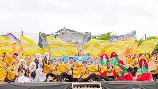 [4K] 京炎そでふれ！輪舞曲　ファイナル演舞　2日目　犬山踊芸祭 2019