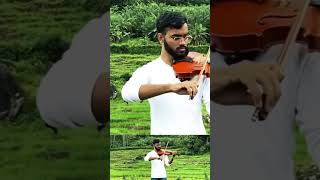 Supem Hangum Violin Cover #violincovers #relaxing #viralmusicvideo2024