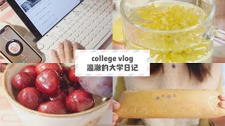 大学日记#47｜寒假宅家日常｜妈妈变身大厨啦｜和我一起学习 p01 VLOG