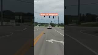 Run a red light and the Bear will get ya
