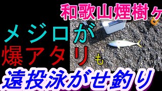 06-16　煙樹ヶ浜釣り情報・特別編