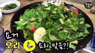 신박한? 오리집이 삼천포에?! 남양토담오리 야채불고기 사천맛집 삼천포맛집