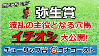 弥生賞2023 最終予想 【波乱の主役！イチオシ／チューリップ賞 2着】【激走が期待できる穴馬を大公開】【チューリップ賞 ワイド的中】