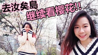 2018 韩国追樱花之旅 EP4 | 去传说中的汝矣島看樱花/陈玉华一只鸡到底有那么好吃吗? // 韩国vlog