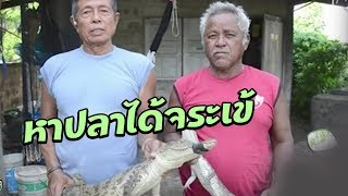 ทอดแหหาปลา กลับได้จระเข้ 2 ตัว | 02-08-60 | ตะลอนข่าวเช้านี้