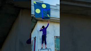 Yellow eyes black Gudda Catch | #kite #patang #kiteflying #shorts #youtubeshorts #viral #patangbazi