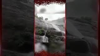 Courtallam Flash Flood | குற்றாலத்தில் நேற்று ஏற்பட்ட திடீர் வெள்ளம்.. பரபரப்புக் காட்சிகள்..