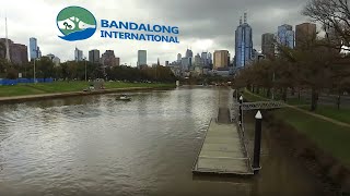 Bandalong Litter Traps in Action Promo Video