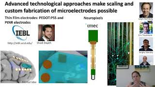 Higher Resolution Electrodes Improve Our Understanding Human Brain, Cognition, and Neurological...