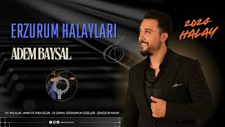 Adem Baysal - Erzurum Halayları (2024)