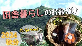 田舎暮らし 実りの秋のお裾分け【秋分】⑬