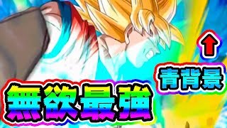 【ドッカンバトル】こんなとこで引きを使ってしまった！合体13号のドッカンフェス100連ガチャ【Dragon Ball Z Dokkan Battle】