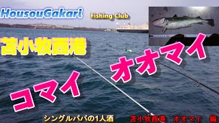 【苫小牧西港】１月２７日　楽釣会さんと勇払埠頭でコマイ　オオマイ釣ります！　シングルパパの１人酒　苫小牧西港オオマイ編