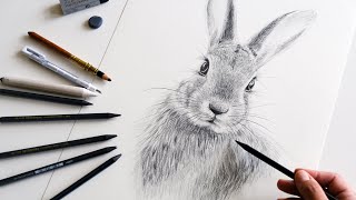 How to draw a beautiful rabbit with pencils