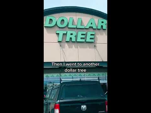 The Dollar Tree Is Selling My Keychains For A Dollar Shorts Youtube