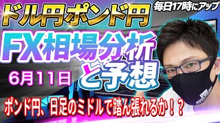 【FX相場分析と予想】FXライブ配信！ポンド円、日足のミドルで踏ん張れるか！？ドル円とポンド円絶好の反発ポイントを見極めろ（6月11日）エントリーポイントをテクニカル分析で相場展開を予想