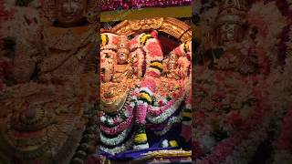 Tiruvannamalai Temple Vasantha Urshavam | வசந்த உற்சவம் எட்டாம் நாள் | திருவண்ணாமலை கோயில் |