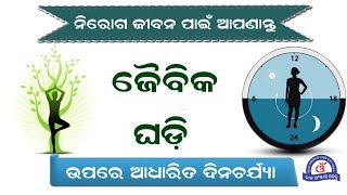 ନିରୋଗ ଜୀବନ ପାଇଁ ଆପଣାନ୍ତୁ ଜୈବିକ ଘଡି ଉପରେ ଆଧାରିତ ଦିନଚର୍ଯ୍ୟା - Tips To Live a Healthy Life In Odia