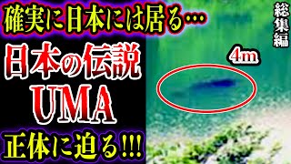 【総集編】日本に実在する伝説UMAたちの目撃証言と正体が判明！？【ゆっくり解説】【睡眠用】【怪魚】