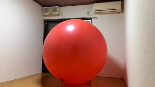 72 inch Giant Balloon Blow to Burst