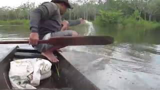 พายเรือหาปลาแบบนี้ก็ได้ปลาเยอะเหมือนกัน-Netfishing on the boat