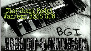 Claribasi Pedal Wah / ExpBOSS GT8 INDONESIA