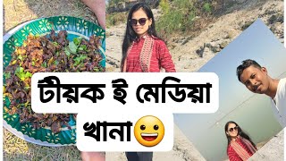 মেডিয়া party খানা নতুন বছৰত | vlog #doglover #vlog