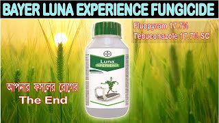 Bayer Luna Experience fungicide | Fluopyram + Tebuconazole | আপনার ফসলের রোগের হবে The End #farming