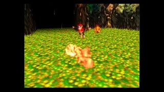 [TAS] N64 Donkey Kong 64 \